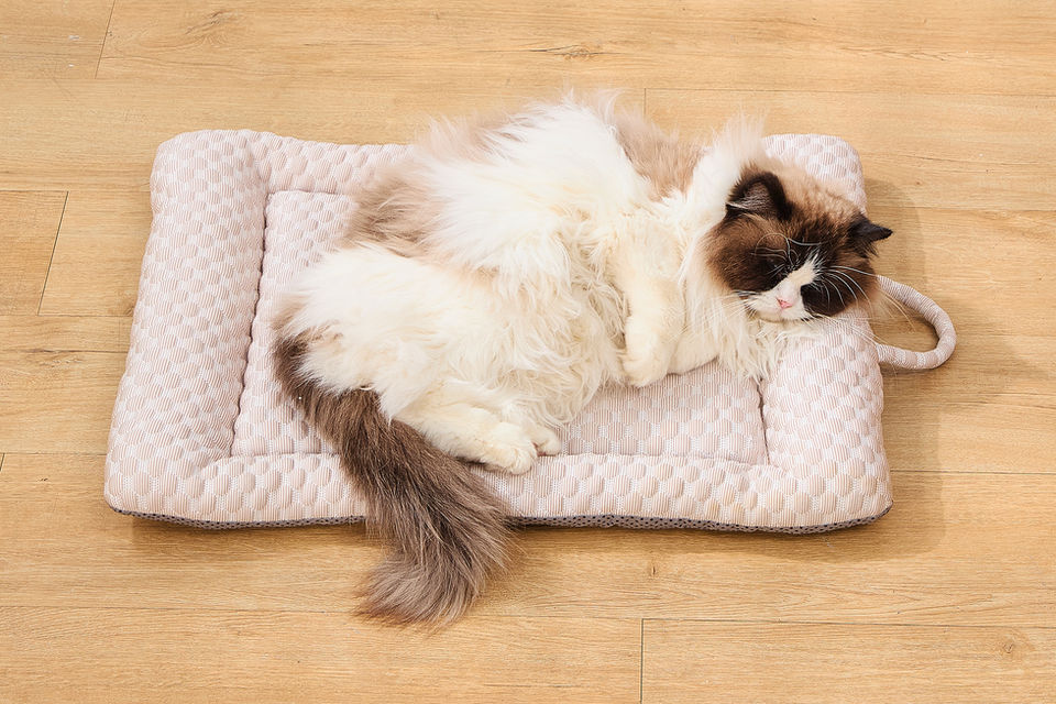 CoolNest Gel Pet Pad with cat sleeping