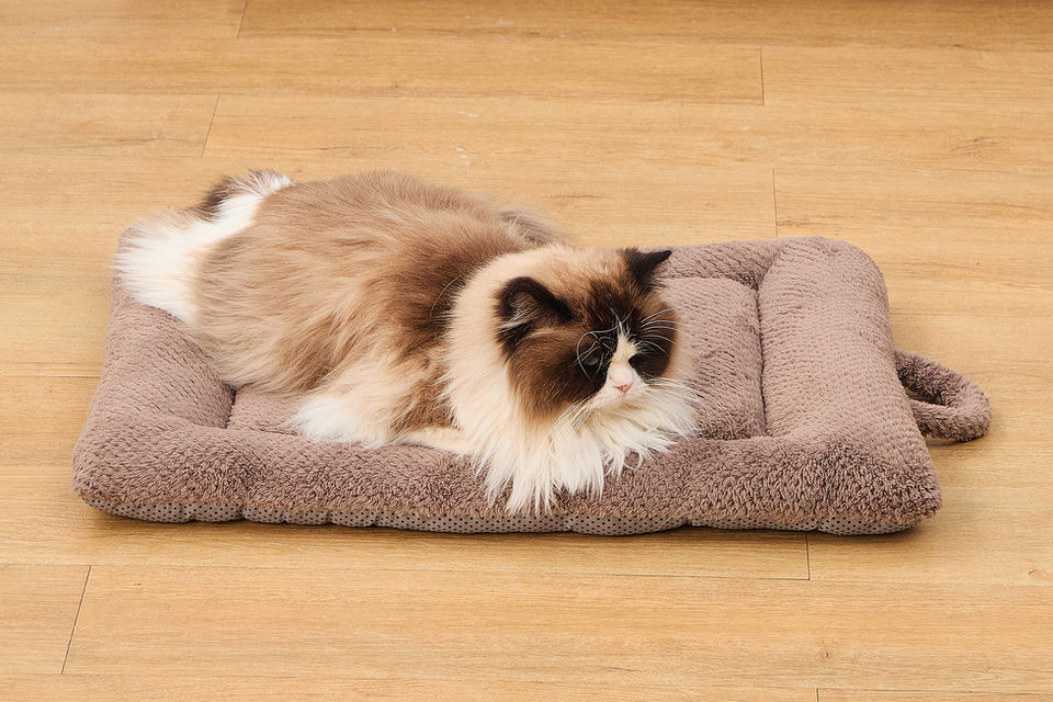 CozyPaws Insulated Pet Mat with cat