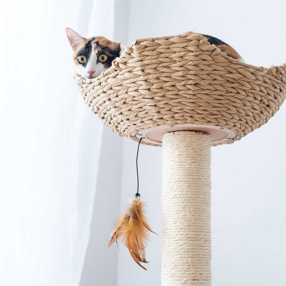 Petpals Walk Up PP2574 cat tree cat in a bed