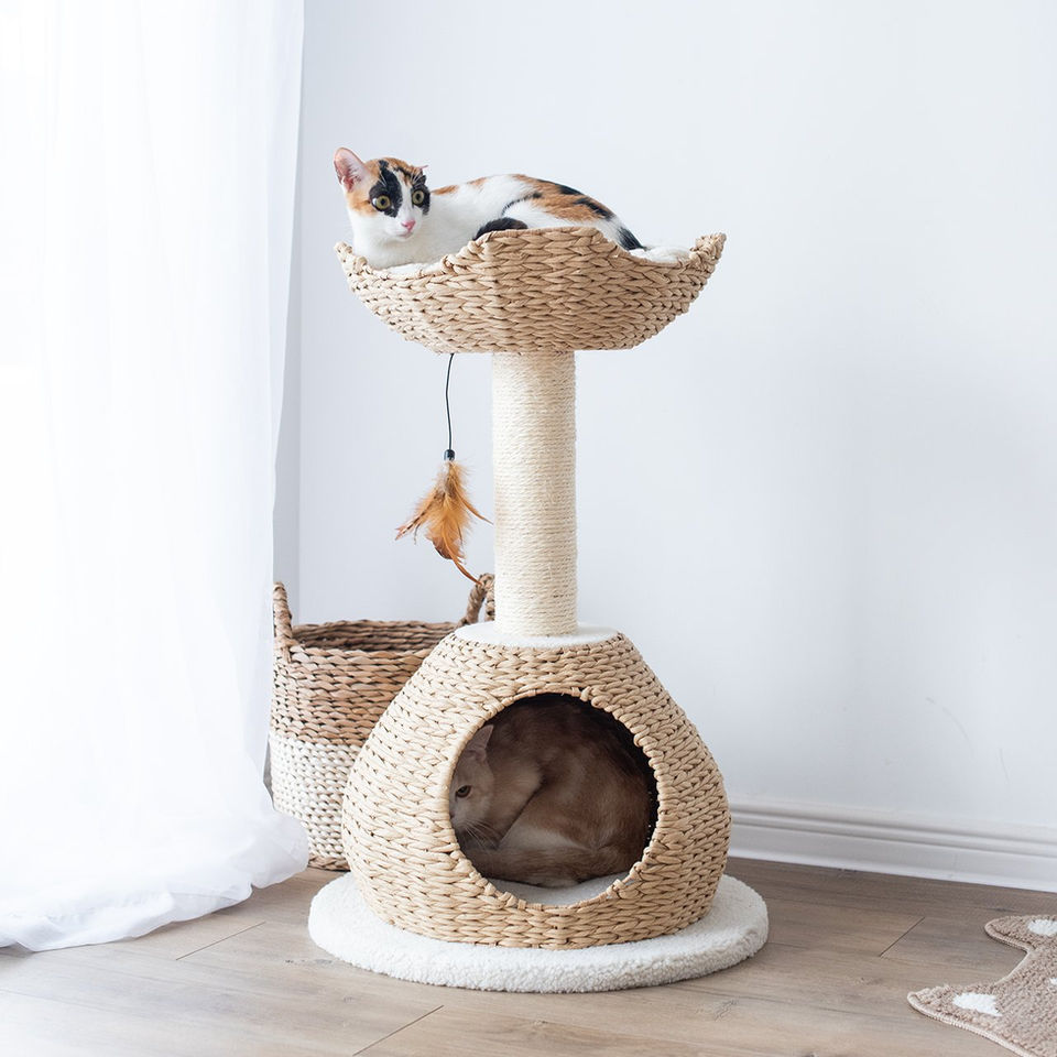 Petpals Walk Up PP2574 cat tree with two levels, one scratching post, a cat condo, and a bed on a white background
