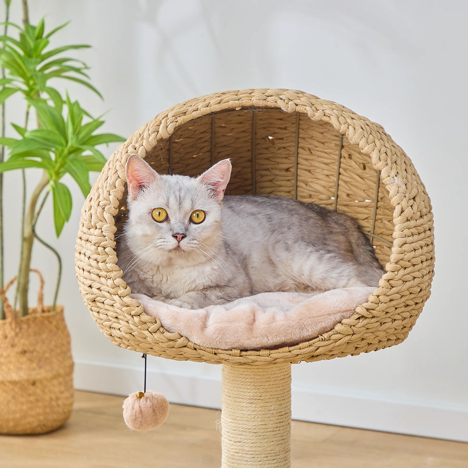 Petpals Lookout PP210310 cat tree with cat in handwoven recycled paper rope cat basket bed