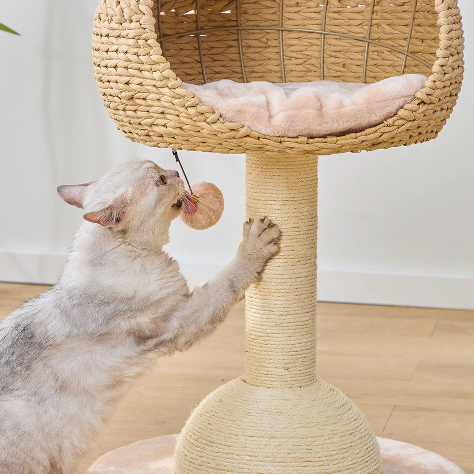 Petpals Lookout PP210310 cat tree with cat playing with puff ball with bell