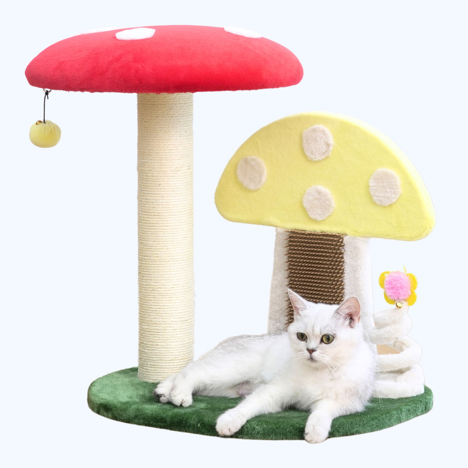 Petpals Moultrie PP240560 mushroom perch scratcher, a sisal scratching post, and a cat toy