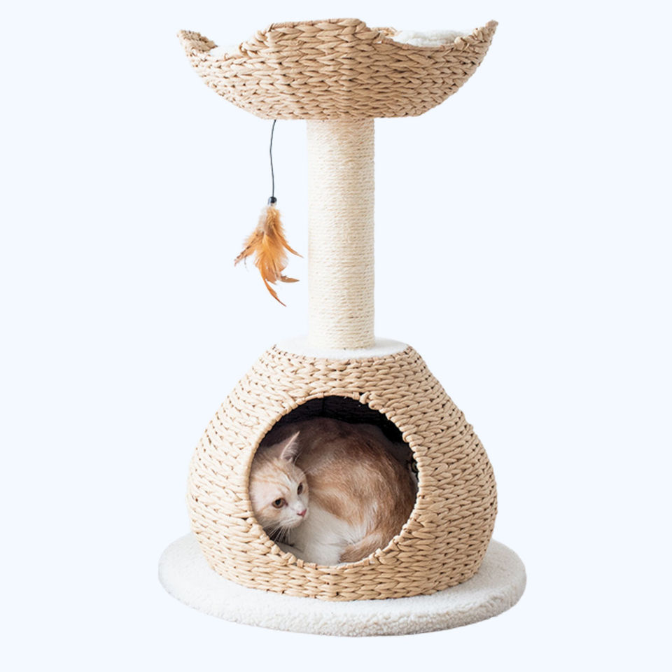 Petpals Walk Up PP2574 cat tree with two levels, one scratching post, a cat condo, and a bed on a white background