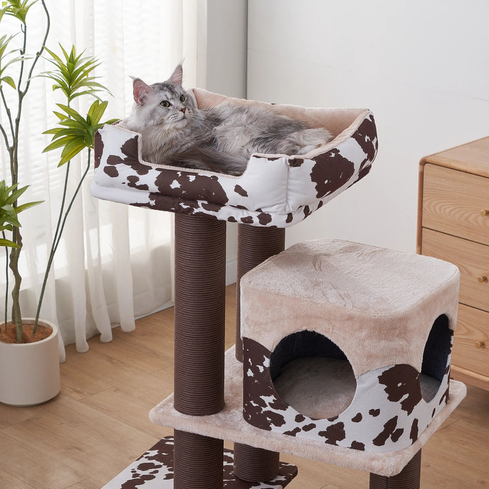 Petpals Cowboy PP220733 Grand Maine Coon cat tree cat bed, and a cat condo