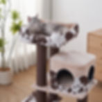 Petpals Cowboy PP220733 Grand Maine Coon cat tree cat bed, and a cat condo
