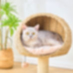 Lookout Natural Handwoven Cat Tree, Natural Sisal Scratchers and recycled Paper Rope Design.