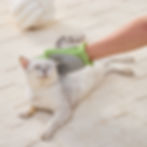 Grooming Glove, One Size Fits All, Easy to Clean, Pet hair removal from Pets and Furniture.