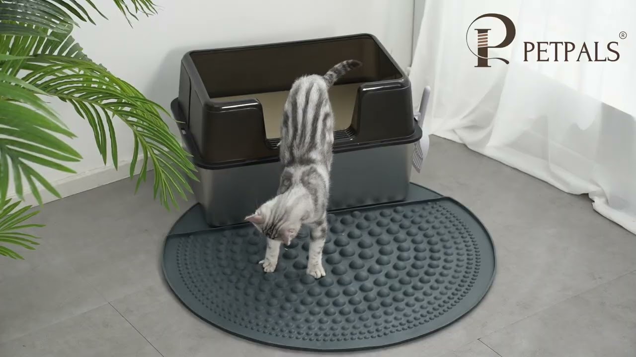 First Edition No More Scattered Litter! PetPals® Air Bubble™ Paw Scrub in Action
