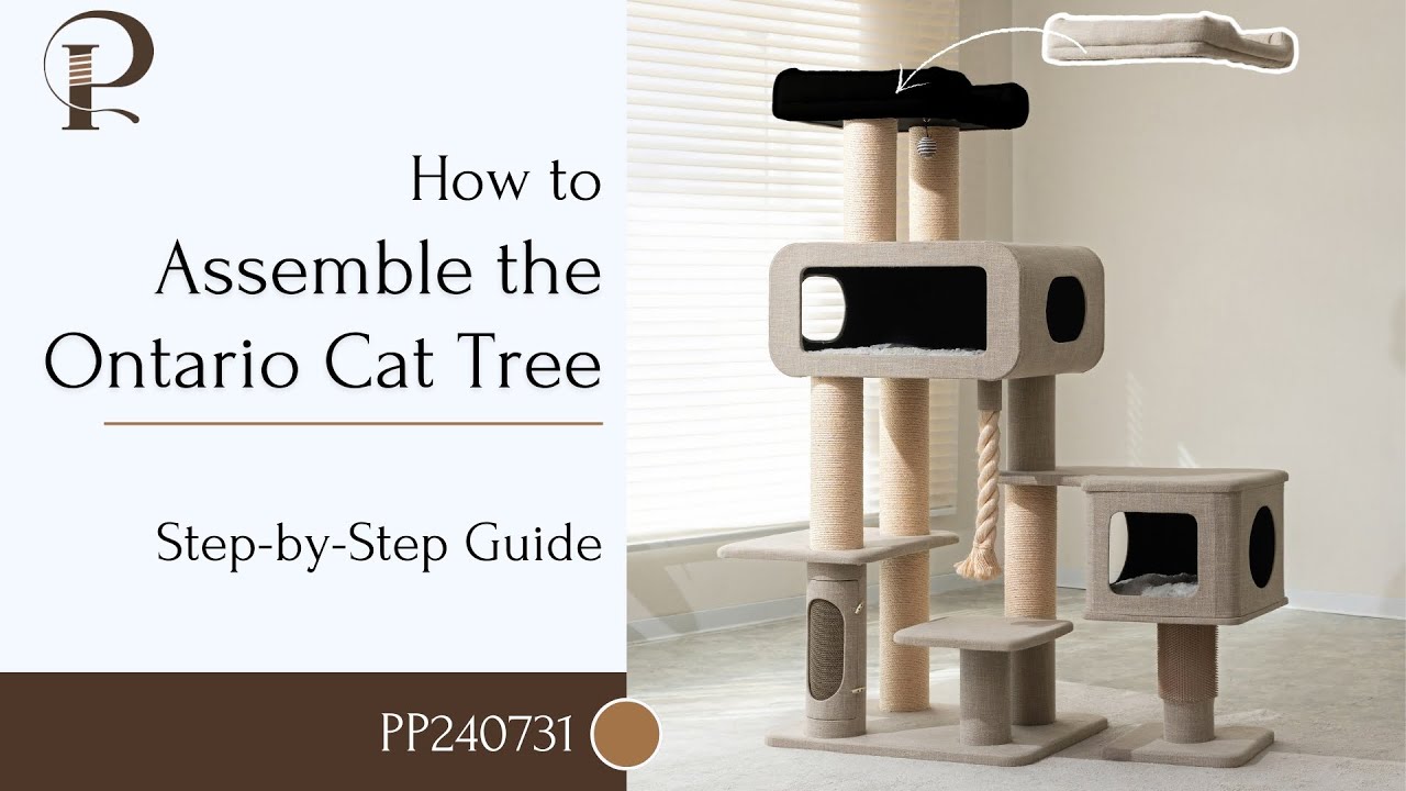 Ontario Cat Tree Assembly Video (PP240731) – Easy Setup!