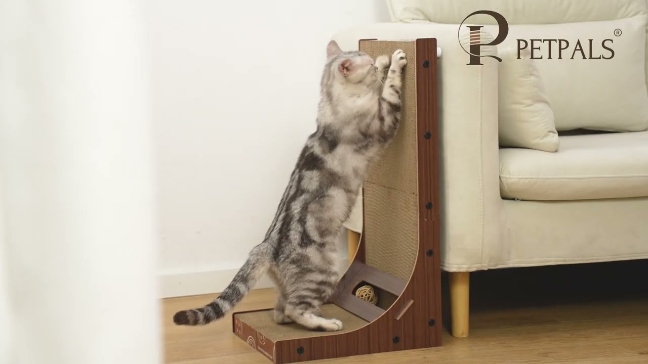 PetPals® Poly Angled Cat Scratcher – Replaceable Cardboard Inserts!